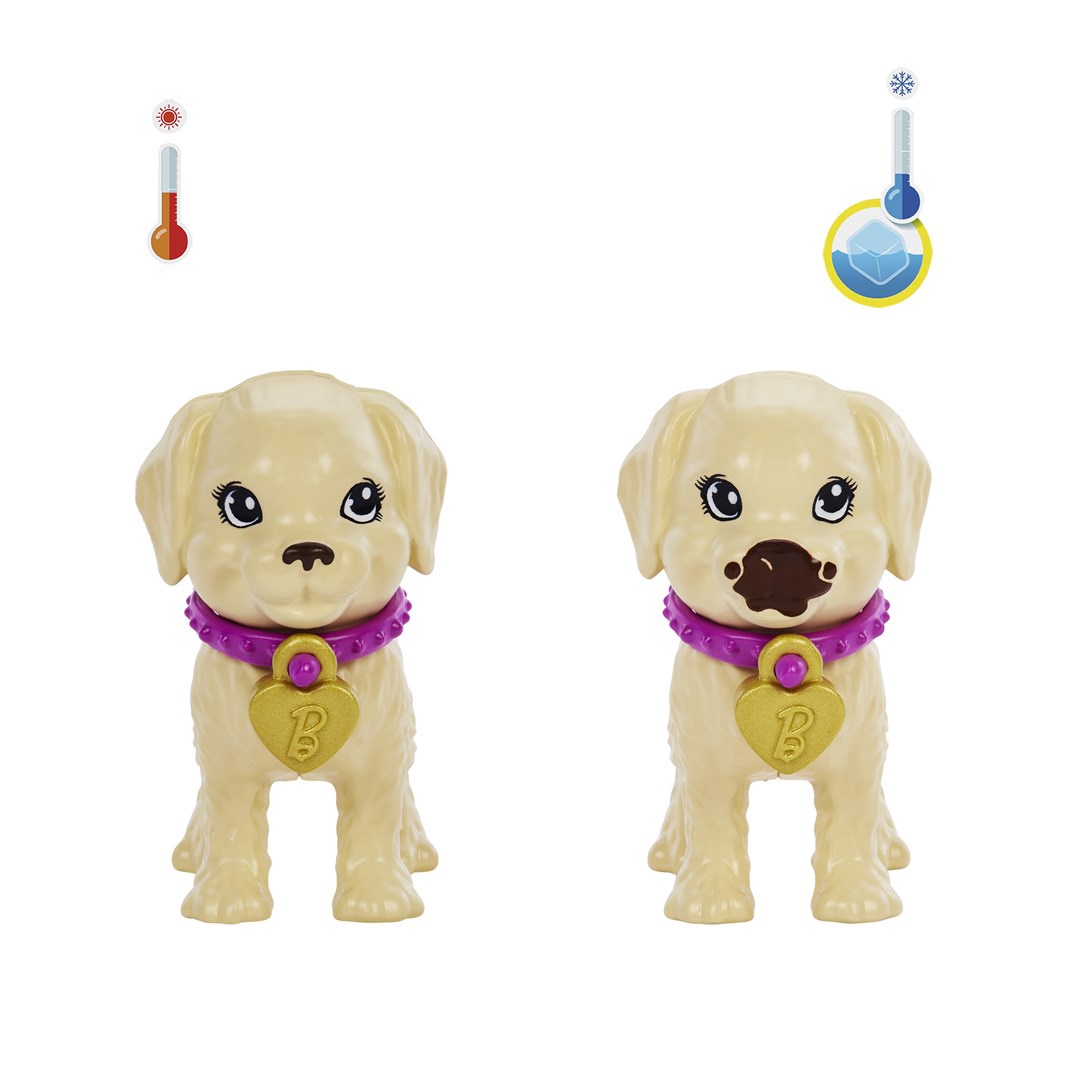 Barbie Adopt-a-Pup Playset Latina Lelle HKD86