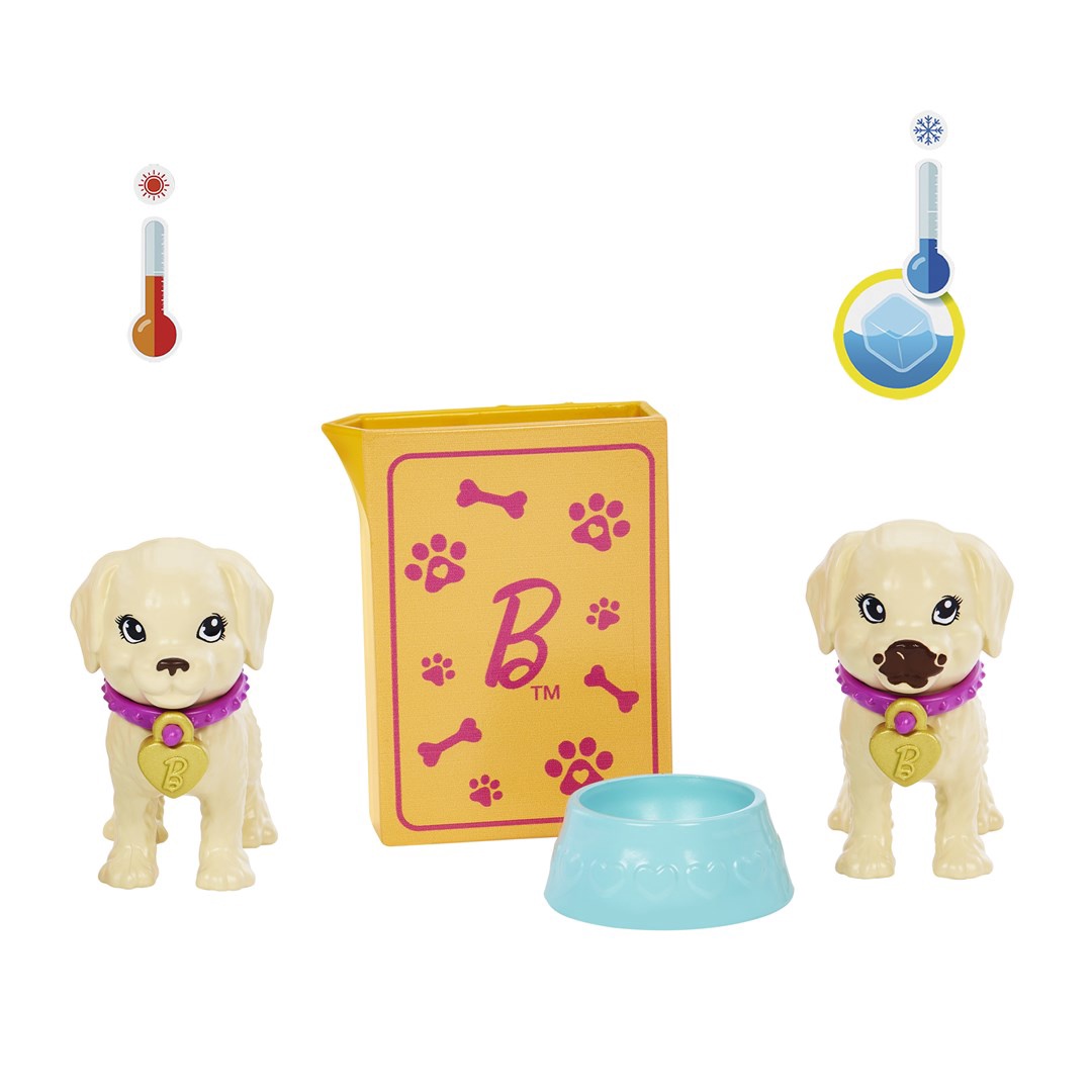 Barbie Adopt-a-Pup Playset Latina Lelle HKD86