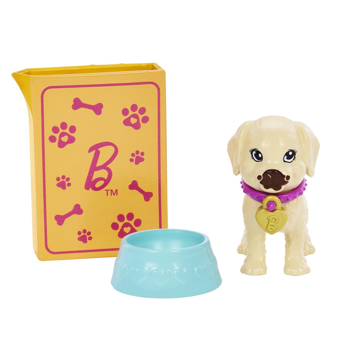 Barbie Adopt-a-Pup Playset Latina Lelle HKD86