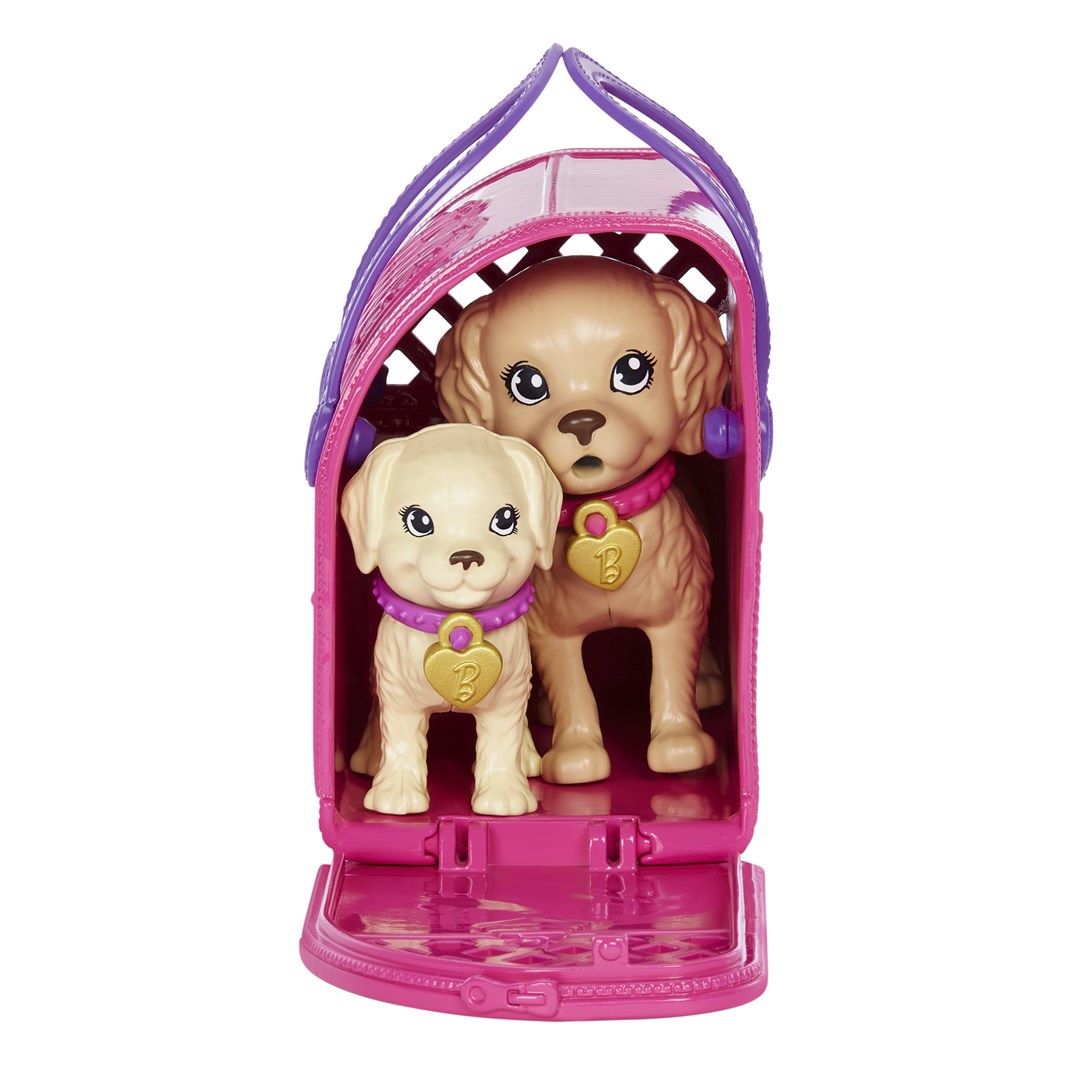 Barbie Adopt-a-Pup Playset Latina Lelle HKD86