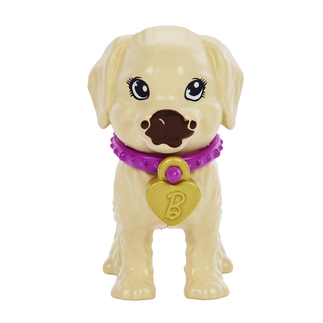 Barbie Adopt-a-Pup Playset Latina Lelle HKD86