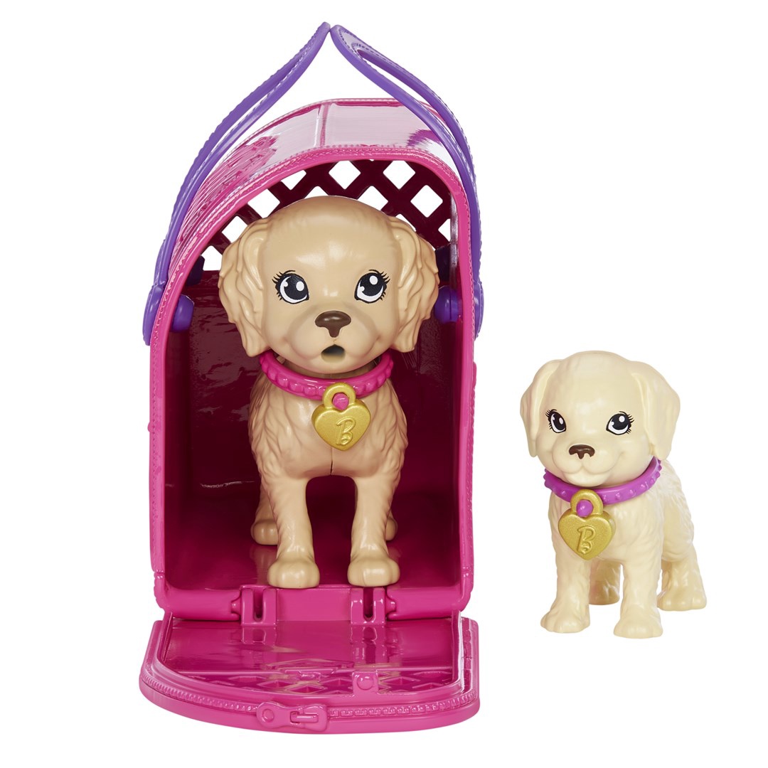 Barbie Adopt-a-Pup Playset Latina Lelle HKD86