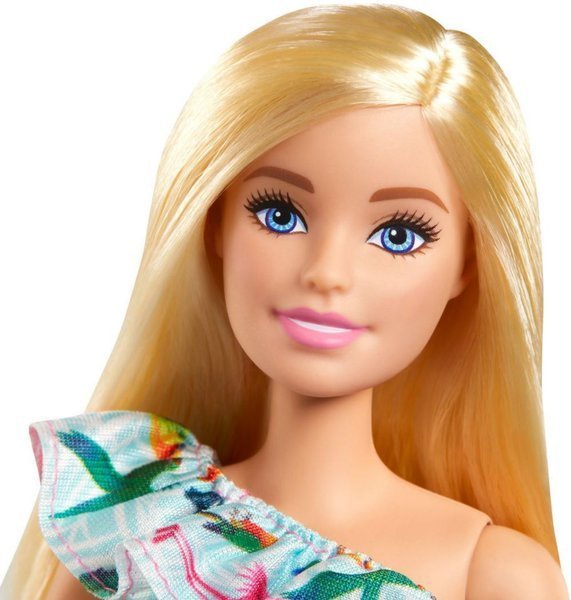 Barbie Стейси с питомцем и аксессуарами GRT87