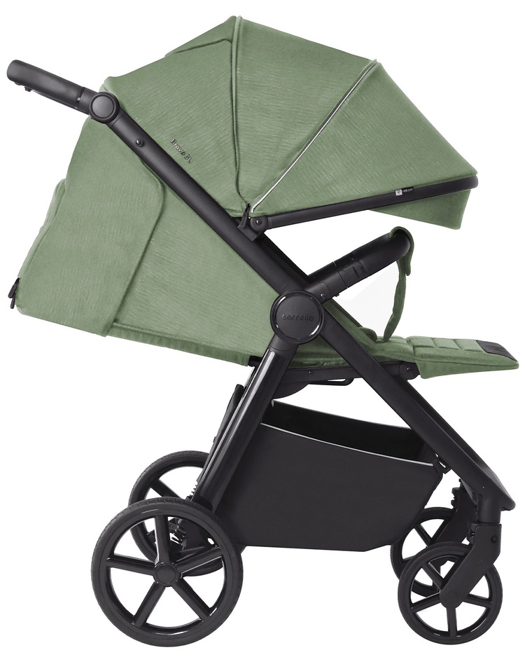 Carrello Bravo SL CRL-5520 Fruit Green Pastaigu rati