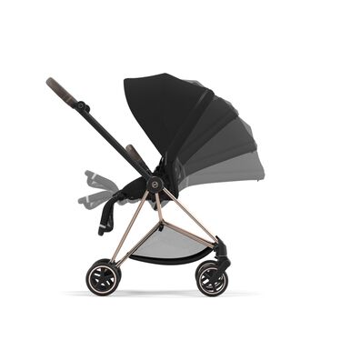 Cybex Mios 3.0 Dream Grey Simply Flowers Прогулочный Блок