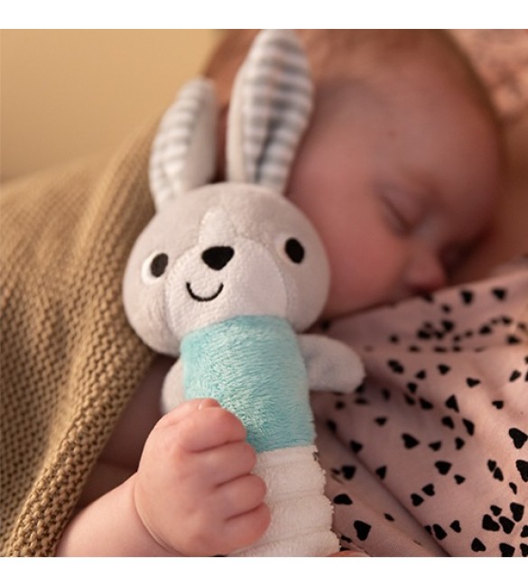 Rotaļlieta ar pīkstuli Babyono BUNNY HEY