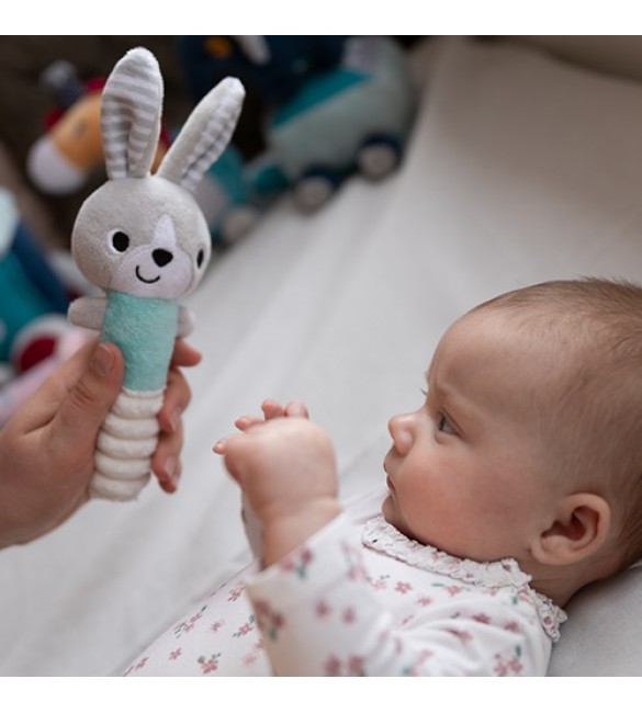 Rotaļlieta ar pīkstuli Babyono BUNNY HEY