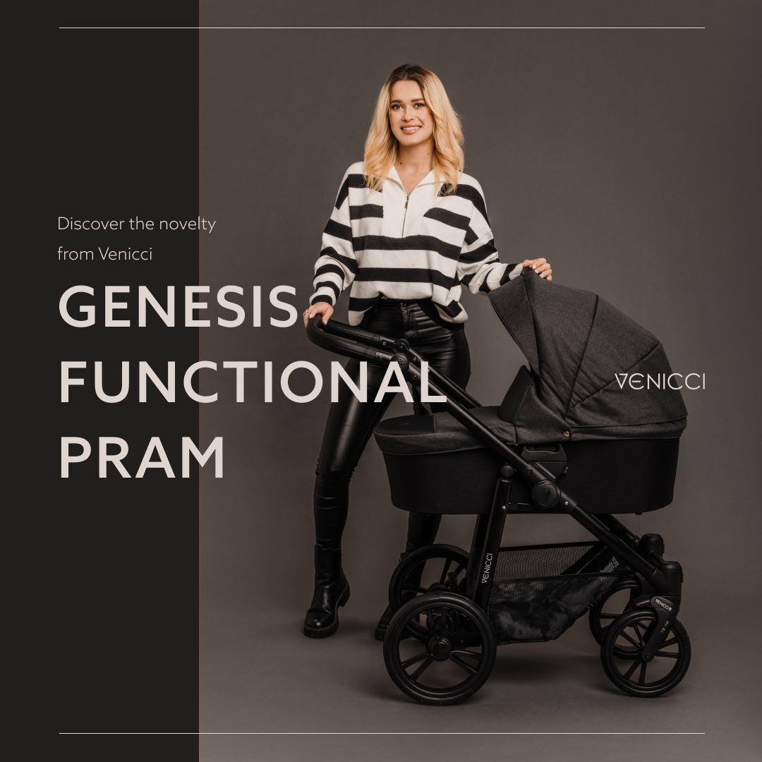 Venicci Genesis Steel Grey Детская коляска 2в1