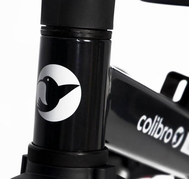 Colibro Tremix Magnetic Bērnu velosipēds Skrejritenis 4in1