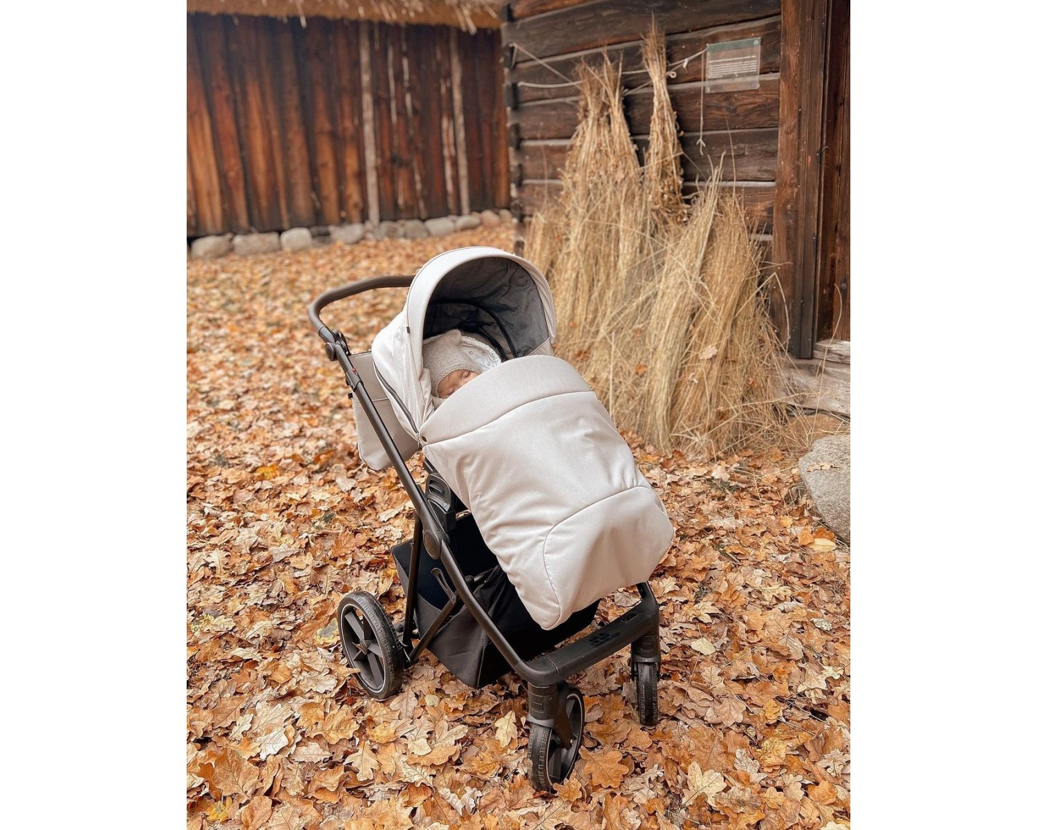 Roan Ivi Sesame Детская коляска 2 в 1