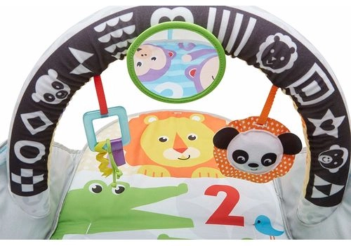 Развивающий коврик Fisher Price Flip & Fun Activity Gym 2in1 FXC14