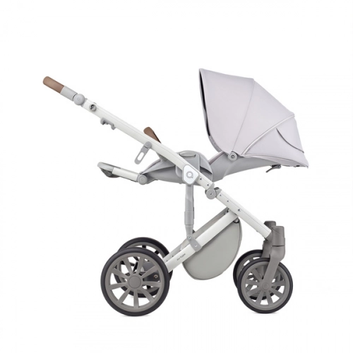 Anex M/Type Arctic Детская коляска 2в1