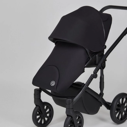 Anex M/Type Argo Bērnu rati 2in1