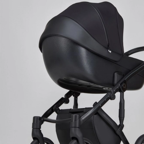 Anex M/Type Argo Bērnu rati 2in1