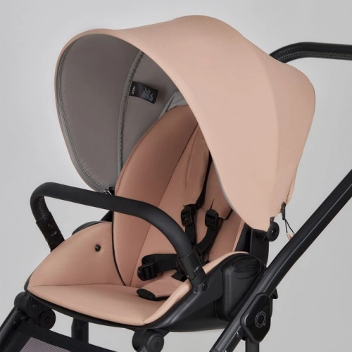 Anex M/Type Coral Детская коляска 2в1