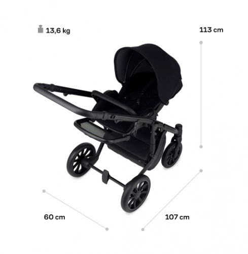 Anex M/Type Sage Bērnu rati 2in1