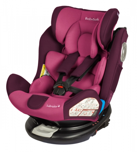 BabySafe Labrador Pink violet Bērnu autosēdeklis 0-36 kg