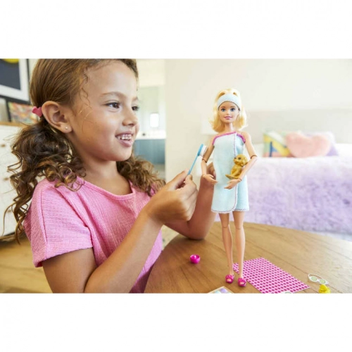 Barbie Wellness Doll кукла GKH73-1