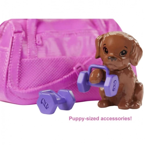 Barbie Wellness Doll кукла GKH73-2