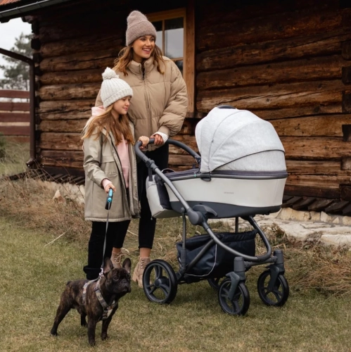 Bebetto Bresso Grey 22 Bērnu rati 2in1