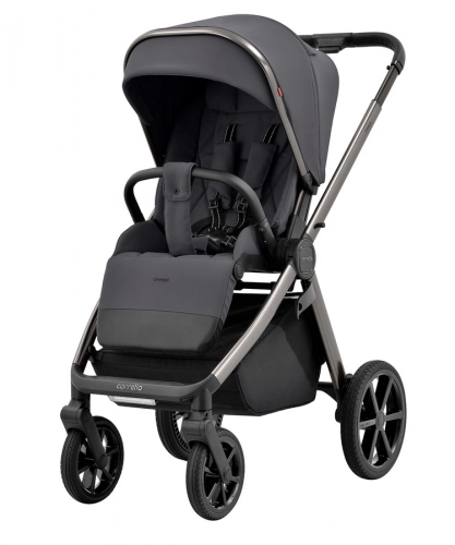 Carrello Omega 2024 2in1 Excellent Grey Детская коляска