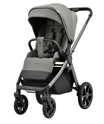 Carrello Omega 2024 2in1 Superb Grey Bērnu rati