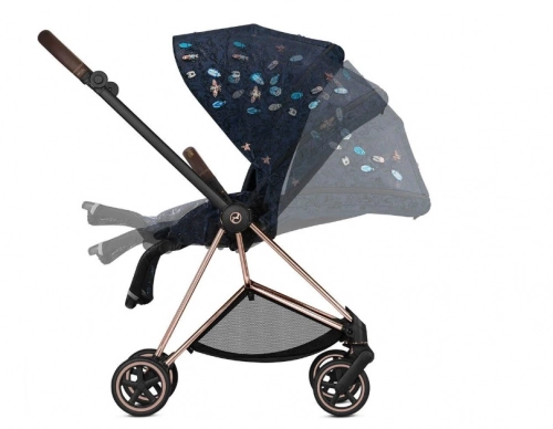 Cybex Mios Jewels of Nature Pastaigu Bloks