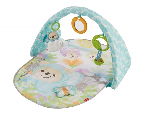 Fisher Price Butterfly Dreams Musical Playtime Gym DYW46 Развивающий коврик