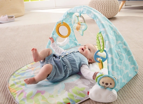 Fisher Price Butterfly Dreams Musical Playtime Gym DYW46 Развивающий коврик