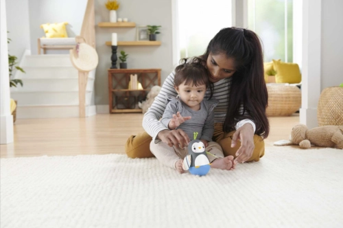 Fisher Price grabuļu komplekts Skill Builders HFJ93