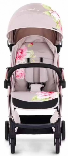 Leclerc Baby Monnalisa Birch Pastaigu rati