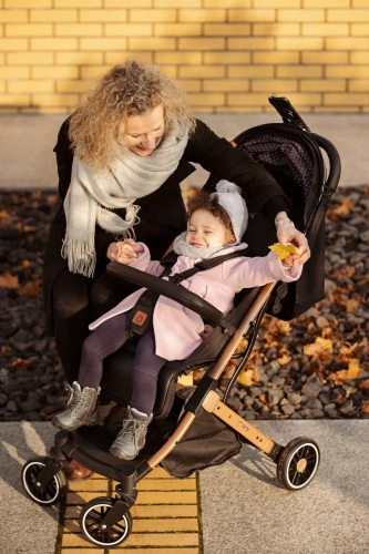MoMi Estelle Grey Pastaigu rati