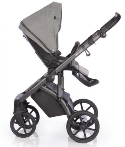 Roan Bloom Titanium Детская коляска 2 в 1