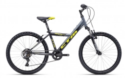 Bērnu velosipēds CTM Willy 2.0 Yellow black 24 collas