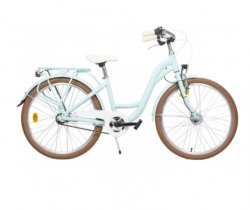 Bērnu velosipēds Romet Panda 2 Green 24 collas