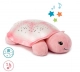 Pink Turtle