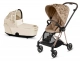 Nude Beige Simply Flowers 3.0 + Rose gold