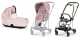 Pale Blush Simply Flowers 3.0 + Chrome Brown