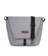 Grey Fox