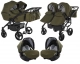 olive 02