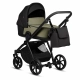 Olive 025