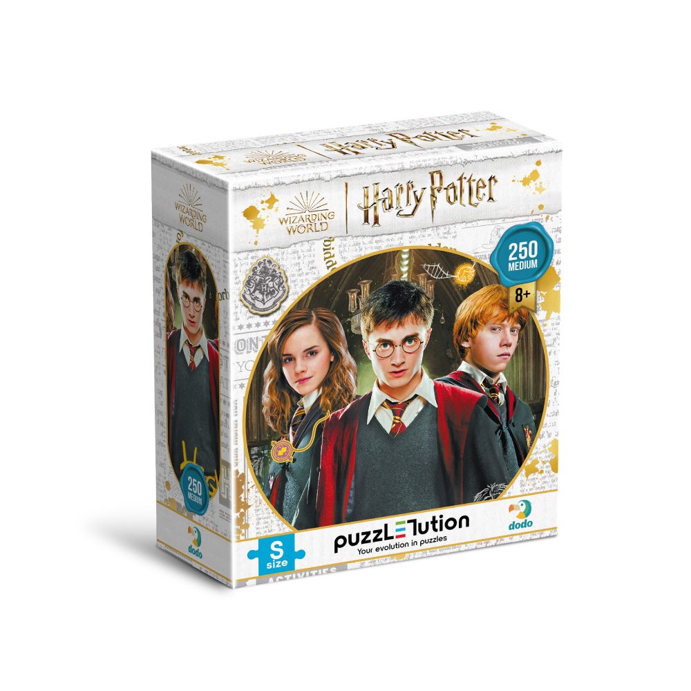 Развивающие пазл Medium-S Harry Potter Harry and friends 250 pcs