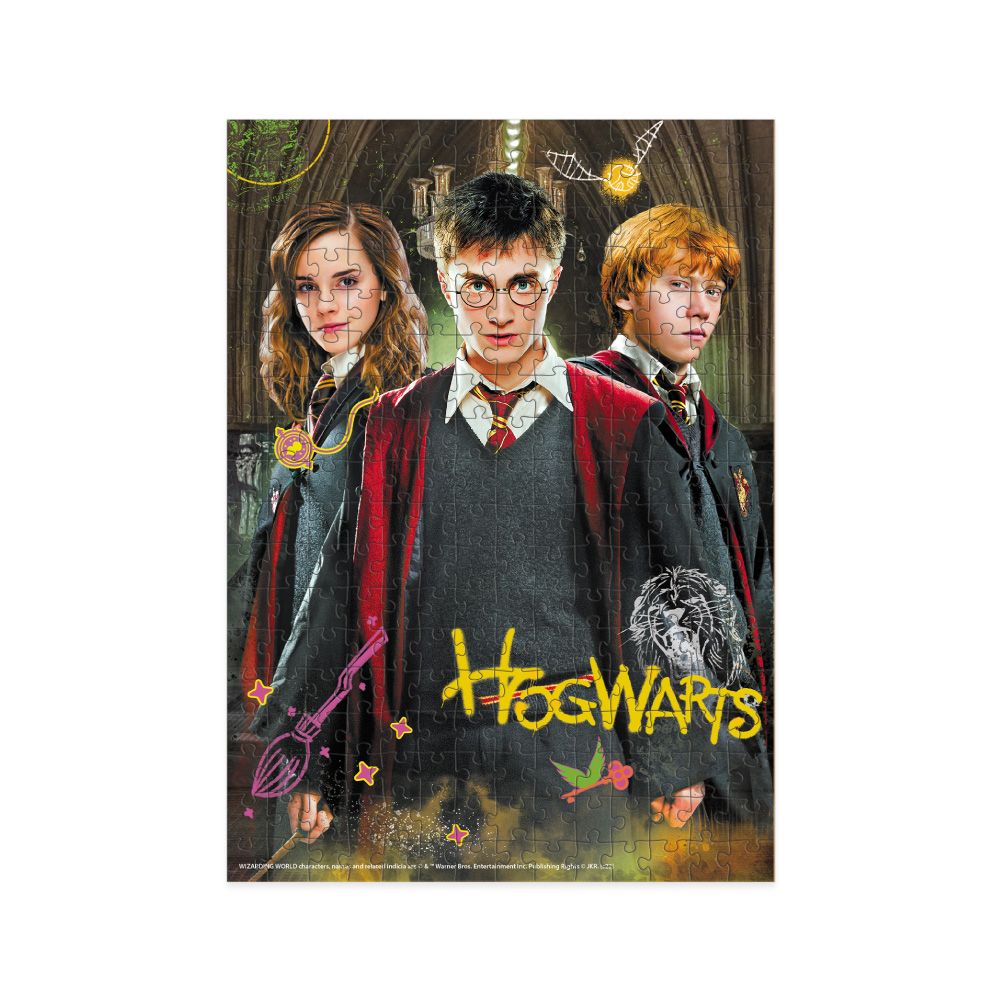 Развивающие пазл Medium-S Harry Potter Harry and friends 250 pcs