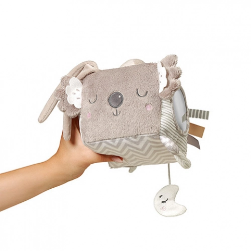 Развивающий куб KOALA COCO 1637