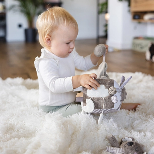 Развивающий куб KOALA COCO 1637