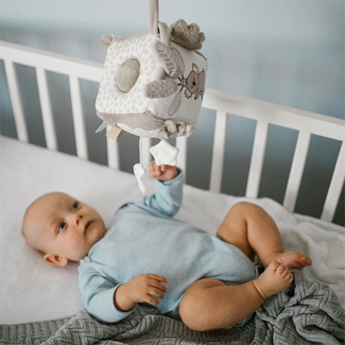 Развивающий куб KOALA COCO 1637