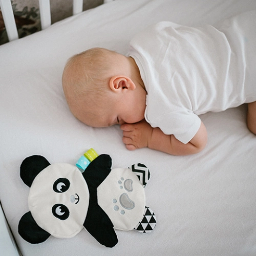 Čaukstošā mīļlupatiņa PANDA POLLY 1558