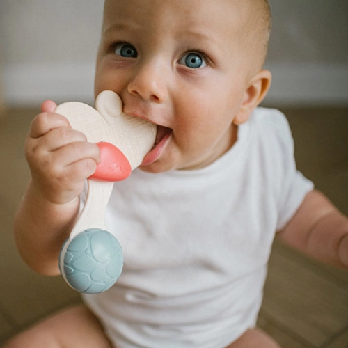 Погремушка с прорезывателем BabyOno 1589