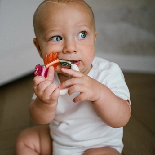 Grabulis ar graužamo BabyOno 1594
