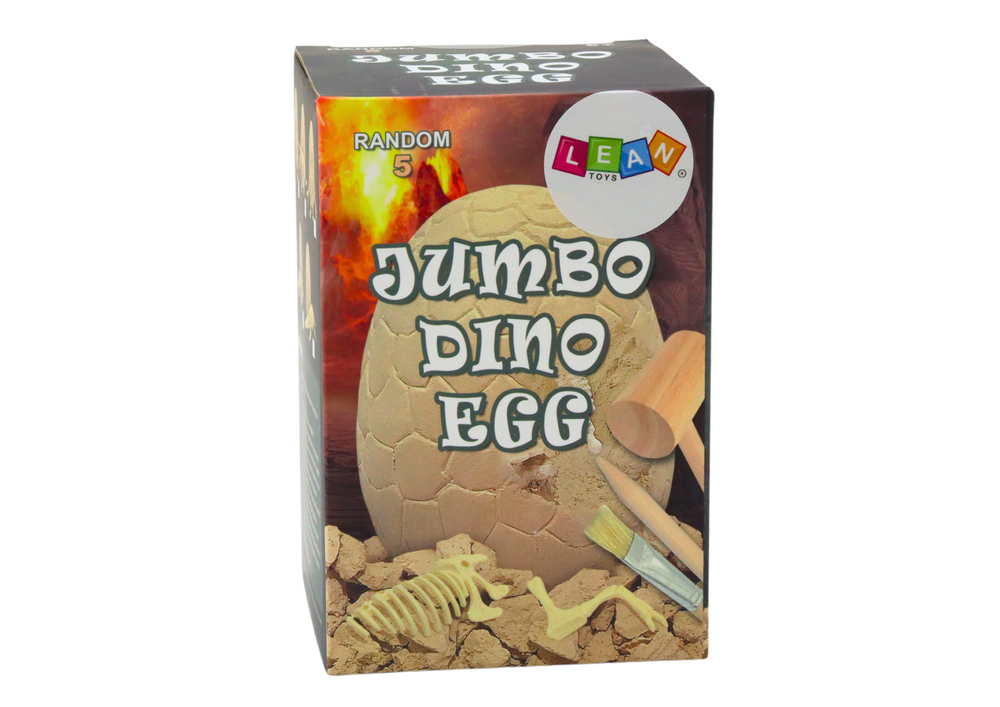 Archaeology Set Dinosaur Egg Fossils